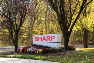 Sharp building sign surround by fall flowers